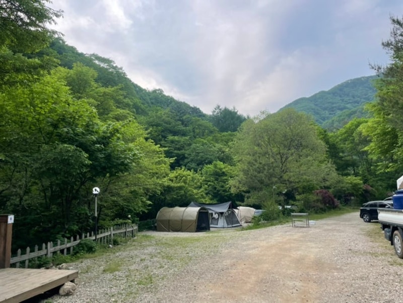 평창 산마을풍경캠핑장 여름에도 시원한 사이트 추천 후기