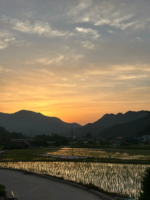 충북 경북 캠핑장 시설이 깔끔한 속리산 365 캠핑장 B8 사이트