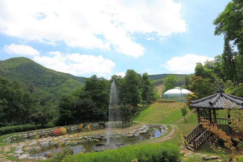 행복숲 체험원 시설 사진 11