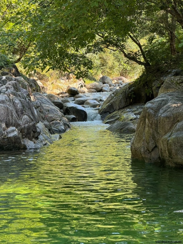 경기도 포천시 백패킹성지 ‘숲속도마치계곡캠핑장’