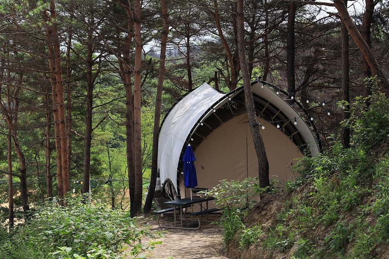 속초 밤하늘글램핑 시설 사진 2