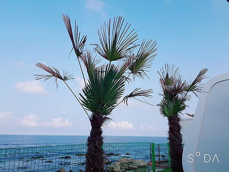 유니의바다 카라반캠핑장 시설 사진 64