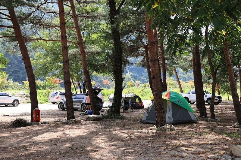 한계2리 솔밭야영장 시설 사진 23