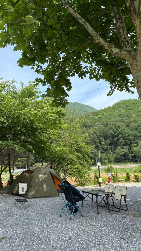 [제천] 넓은 잔디밭 애견동반 폐교캠핑장 '오손도손캠핑장'