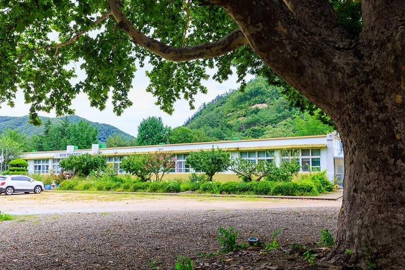 에코팜 부설 오토캠핑장 대표 사진