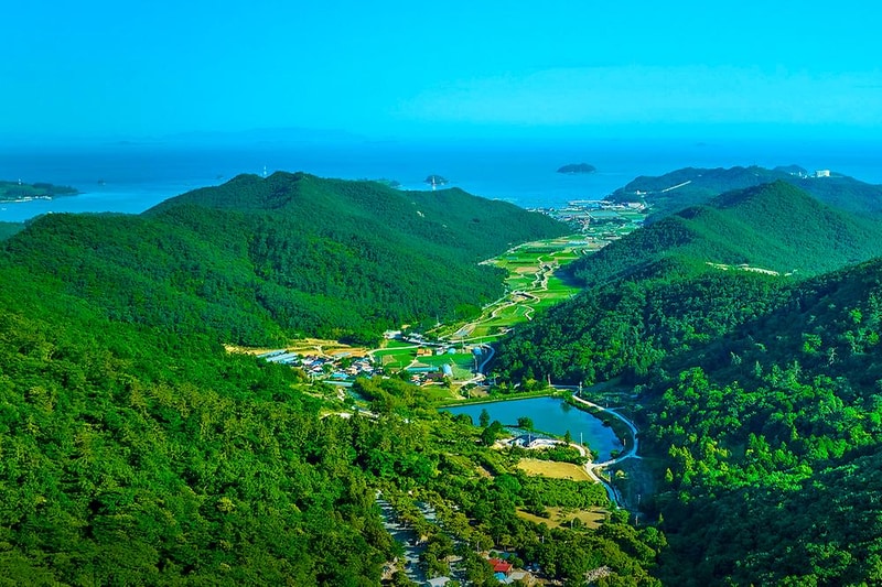 진도 카멜리아 힐즈 오토캠핑장 시설 사진 5