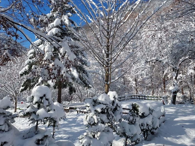 횡성산울림오토캠핑장 시설 사진 42