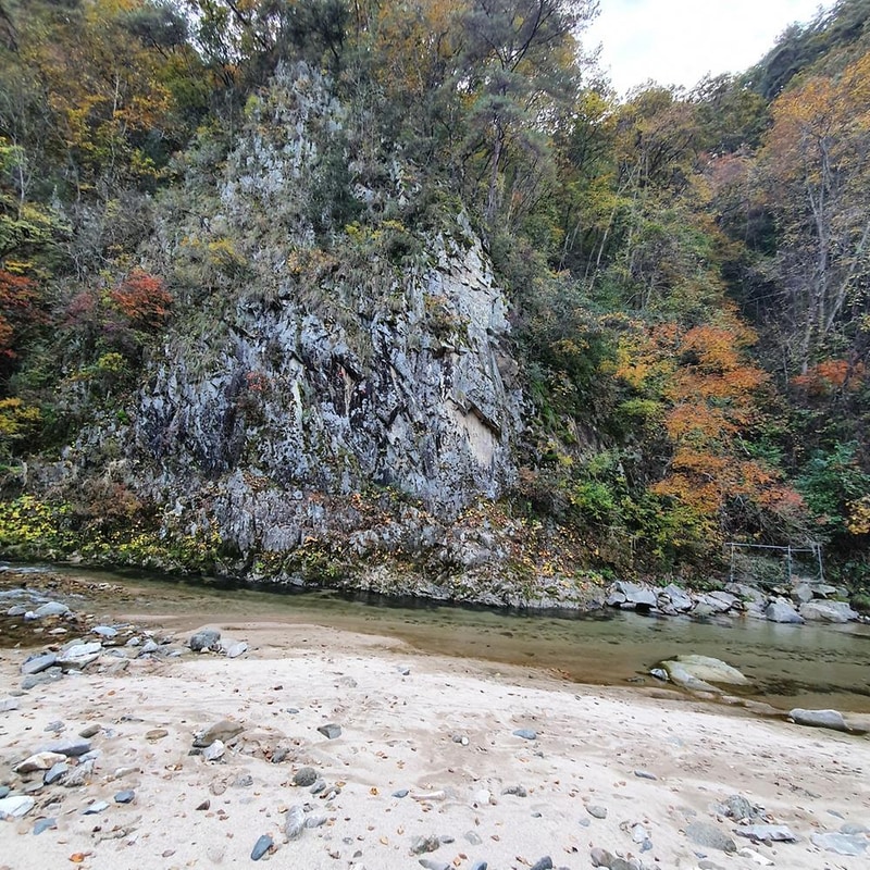 강원 홍천 알프스밸리 캠핑나라 글램독 시설 사진 5