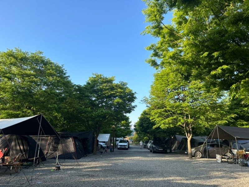 문경 해바라기 캠핑장 / 여름에 가기 좋은 그늘 사이트가 있는...
