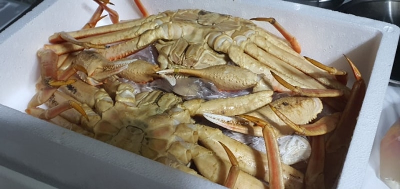 또4회5회? 상주감꽃마을서울캠핑장