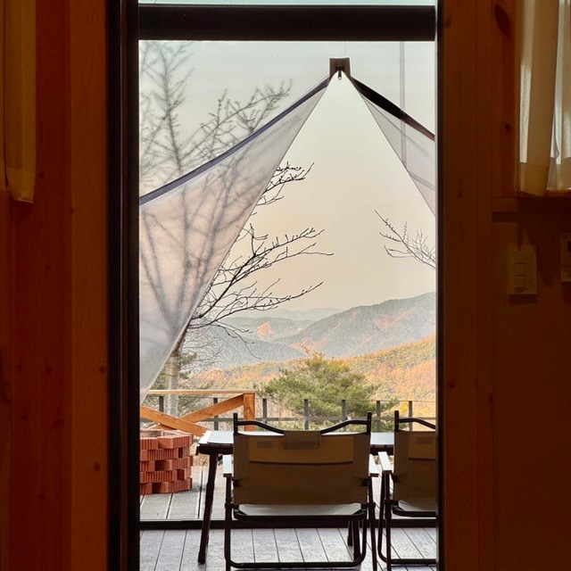 트리풀(treefull) 대표 사진