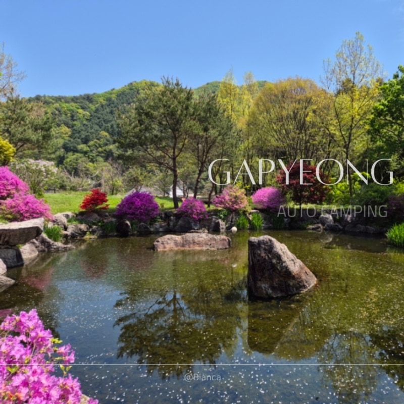 가평 오토캠핑장 추천 자연의 쉼터 둥지캠핑장