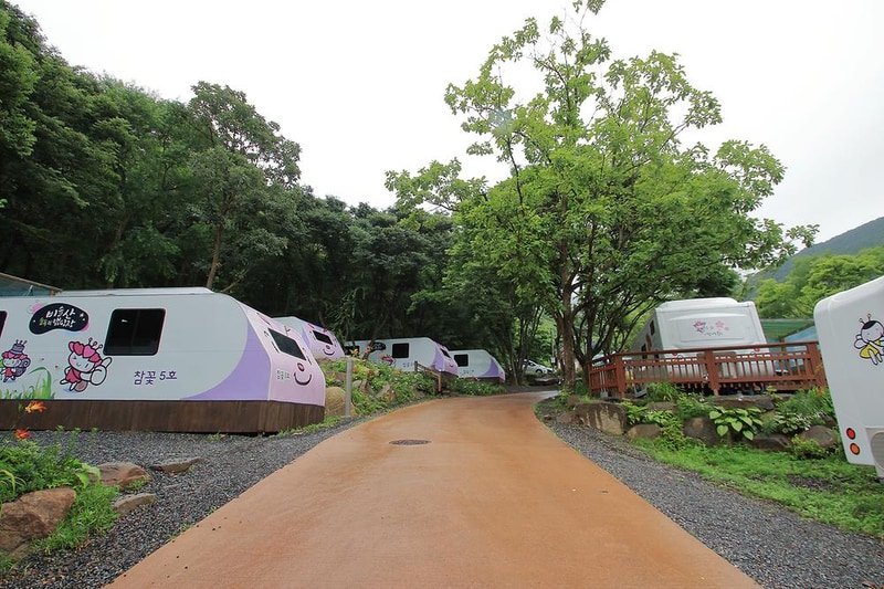 비슬산 숲속 오토캠핑장 시설 사진 14