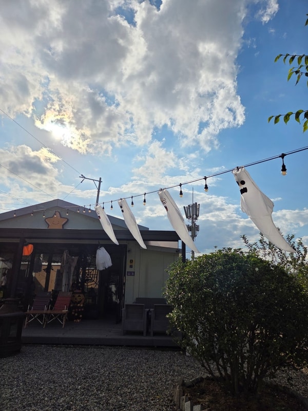 [할로윈캠핑] 경주 조은캠핑