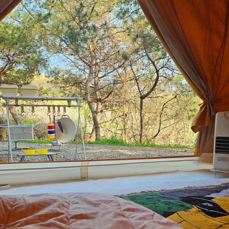 연천 써니힐즈캠핑장 애견동반 11번 사이트 솔직후기 프리모리...