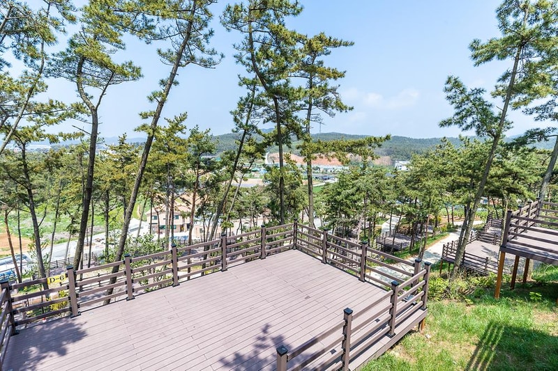 솔향기캠핑장 시설 사진 2