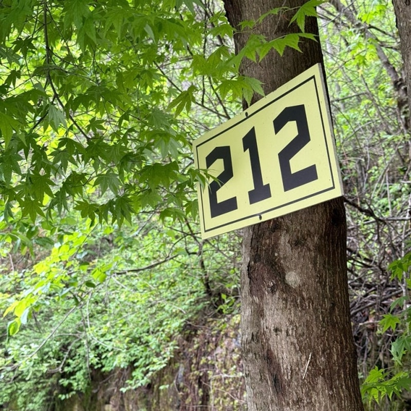 제천 캠핑장 :: 아이랑 드래곤오토캠핑장 212번 사이트 / 계곡...