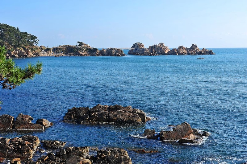 대왕암공원 캠핑장 시설 사진 12