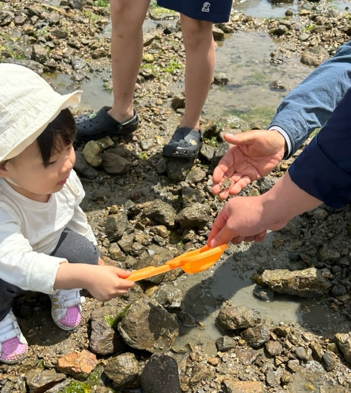 보령 아이들 갈만한 곳 갯벌체험 무창포 오토캠핑장