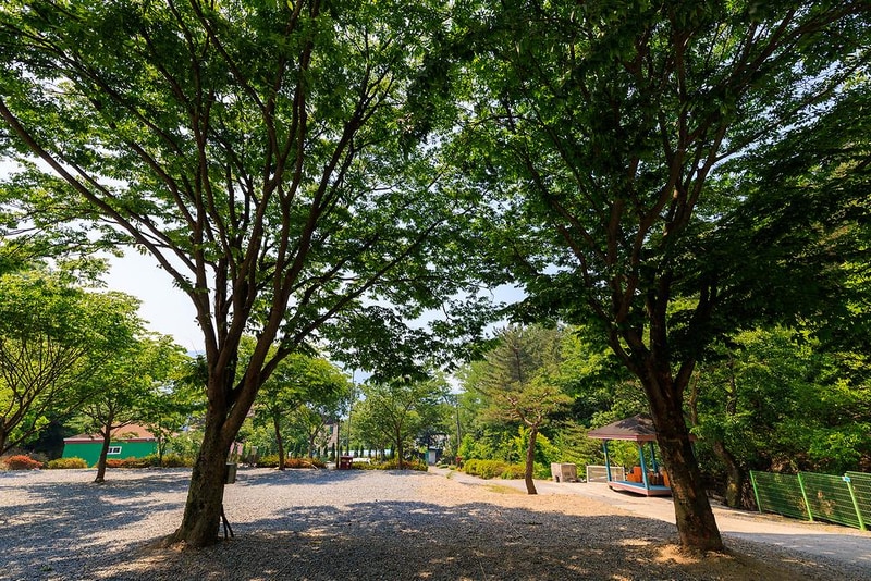 편안캠핑장 시설 사진 2