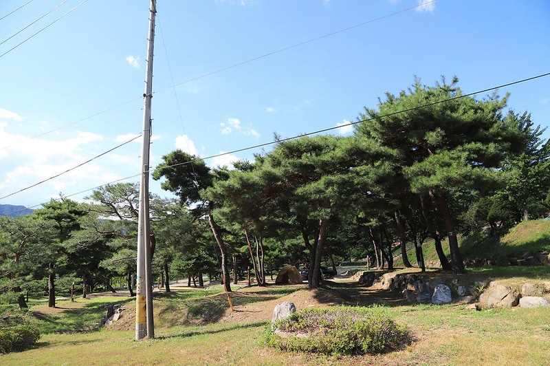 숲속의야영장 시설 사진 25