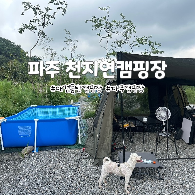 [C.04] 애견동반 가능한 파주 천지연캠핑장 (12번사이트)