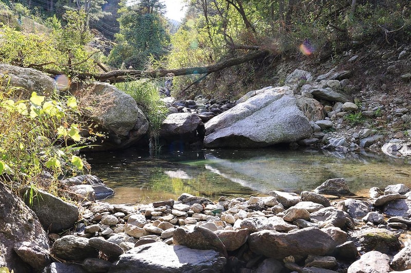 나아정 시설 사진 1