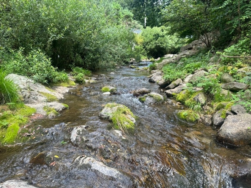 강원도 평창 쿵쿵소캠핑장/2024.08.15~08.17