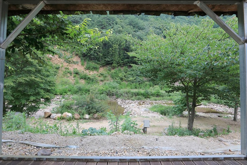 고향펜션캠핑 시설 사진 15