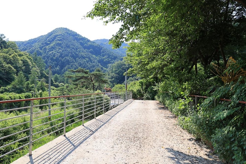 별숲캠핑장 시설 사진 3