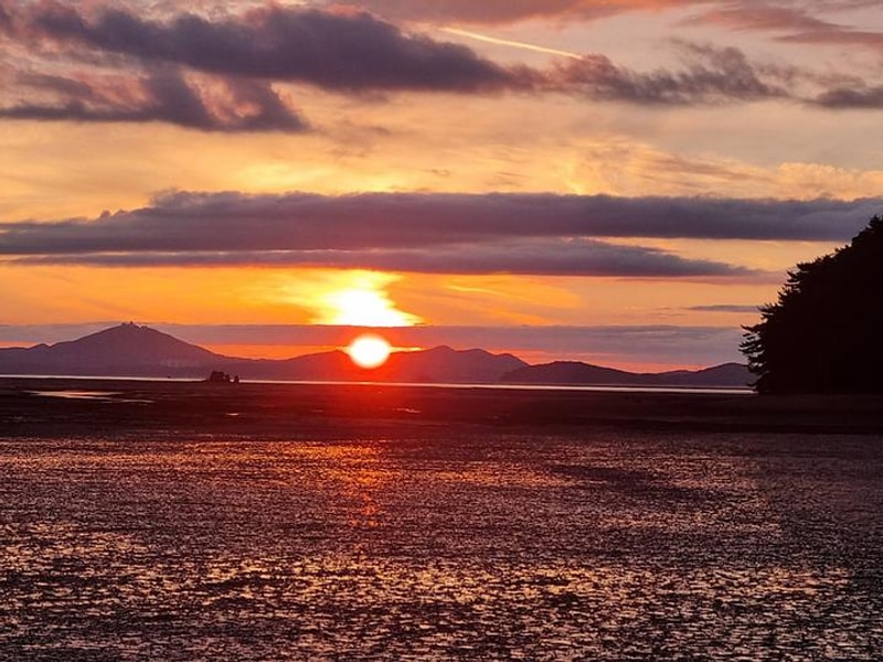 해랑해관광농원 캠핑장 대표 사진