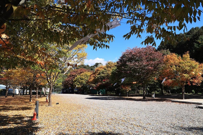 포도밸리 캠핑장 시설 사진 4