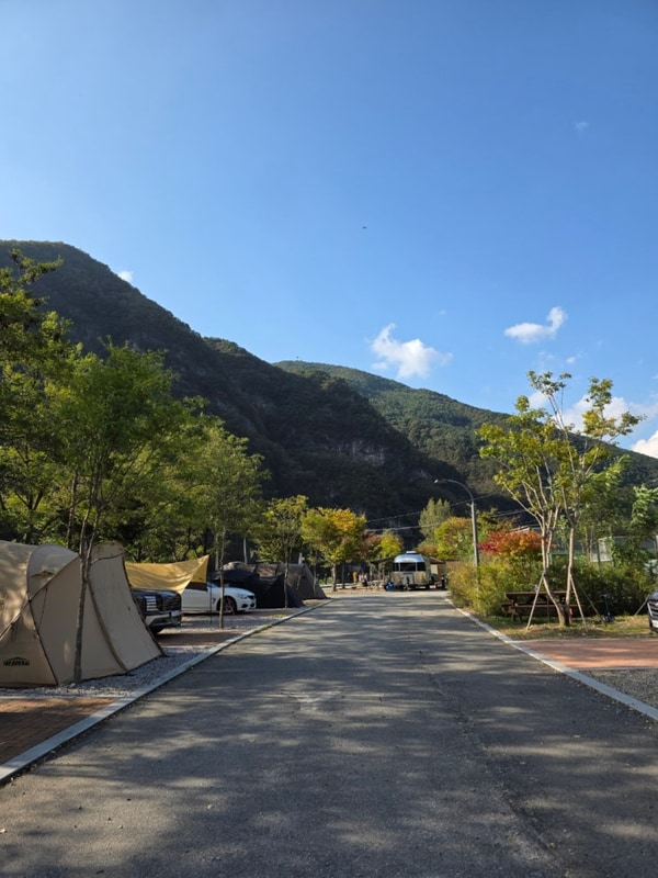 캠핑기록) 영월동강오토캠핑장