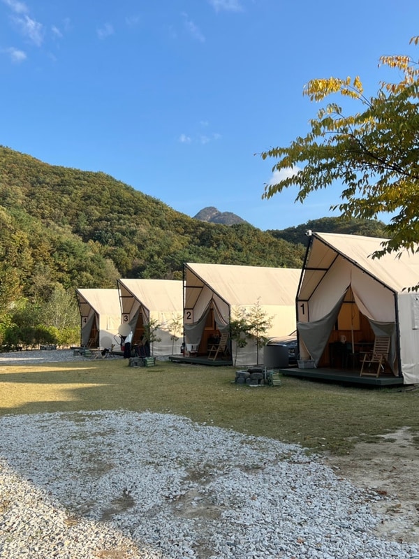 포천 제임스글램핑 신상 카라반 바베큐 불멍 내돈내산 만족 후기