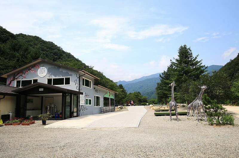 오색허브농원 캠핑장 시설 사진 11