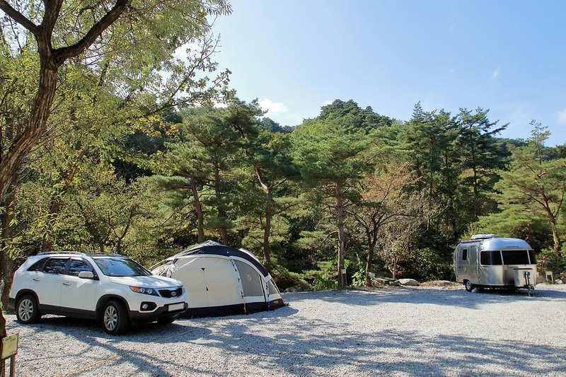 대관령 솔내음 오토 캠핑장 시설 사진 9