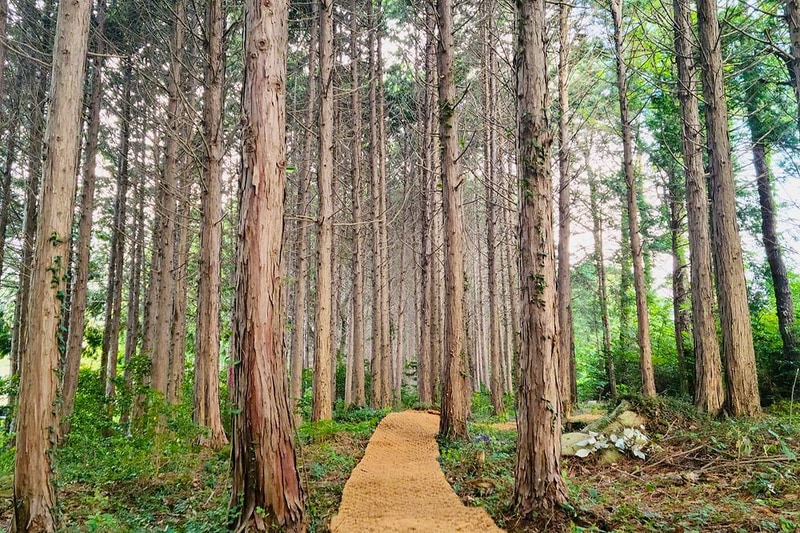 굿모닝오소재글램핑 시설 사진 6
