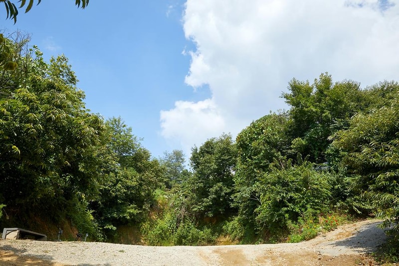 따봉캠핑장 시설 사진 7