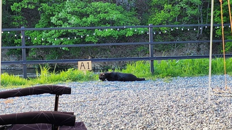 양평 숲이야캠핑장 A1 사이트, 샤워실 등 이용시설 소개, 명당...