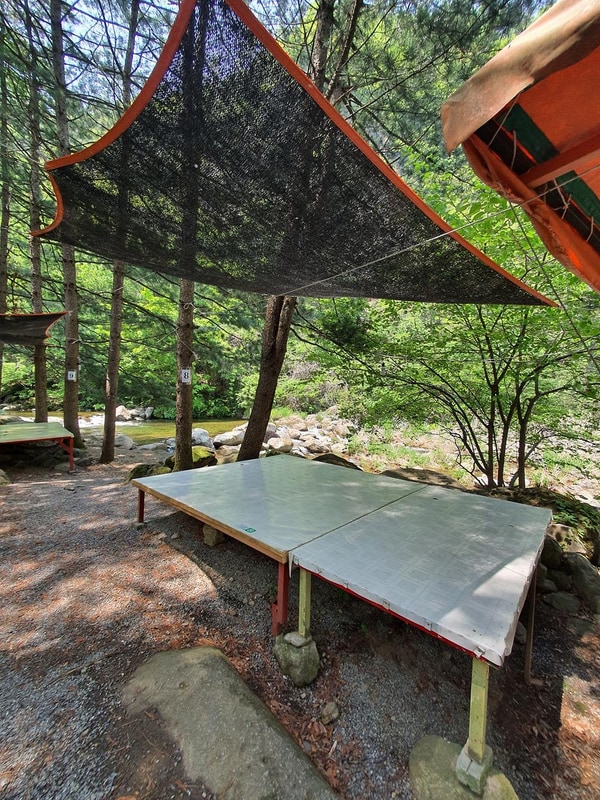 단양 천동계곡 캠핑장 그린농원 시설 사진 5