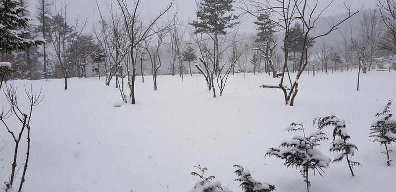 숲속애캠핑장 시설 사진 5