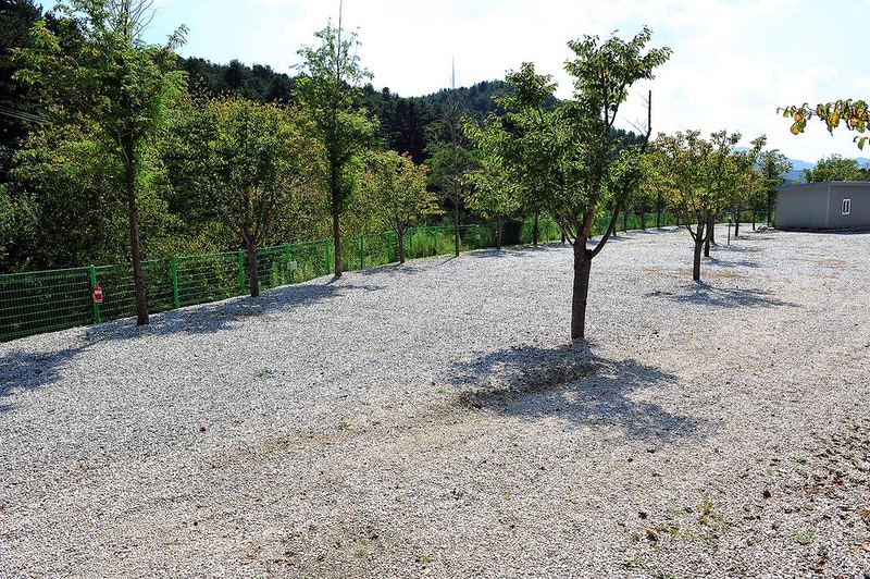 삼정오토캠핑장 시설 사진 8