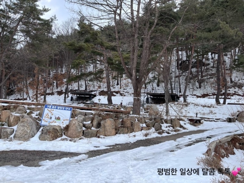 강원 영월 캠핑장 :) 구름 품은 캠핑장_뷰 맛집!!