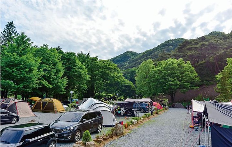 연종 캠핑장 대표 사진