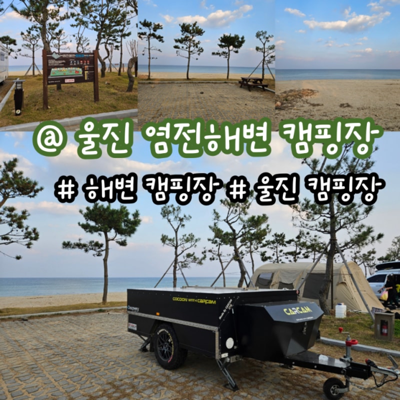 울진 염전해변 캠핑장 반려동물 동반 가능 캠핑장