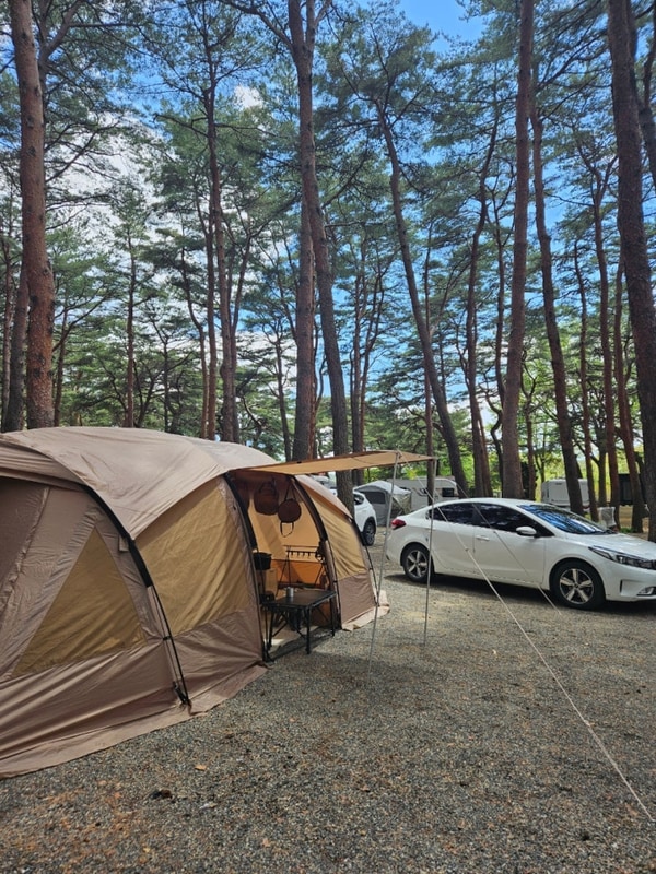송전해수욕장 바다근처 양양캠프장 추천 (ft,아침식사 순두부...