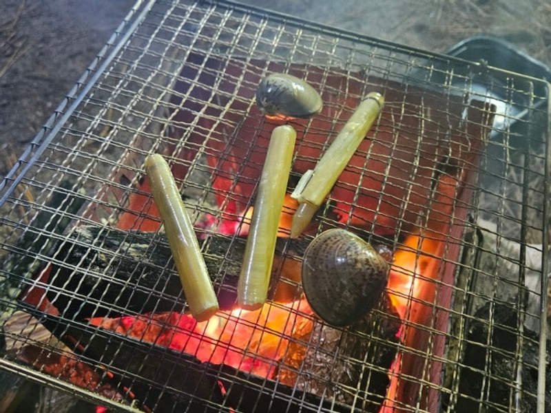 [충남 태안] 몽산포 오토캠핑장 후기 : 해수욕장·갯벌체험...