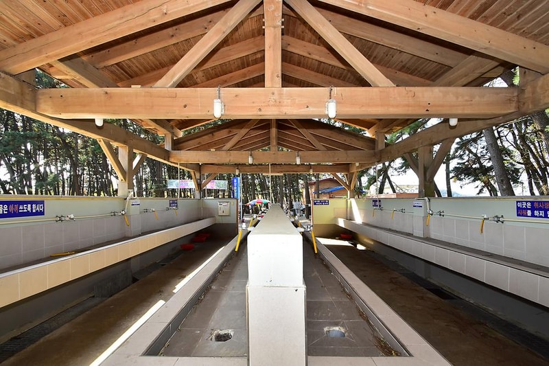 춘장대 중앙솔밭캠핑 시설 사진 13