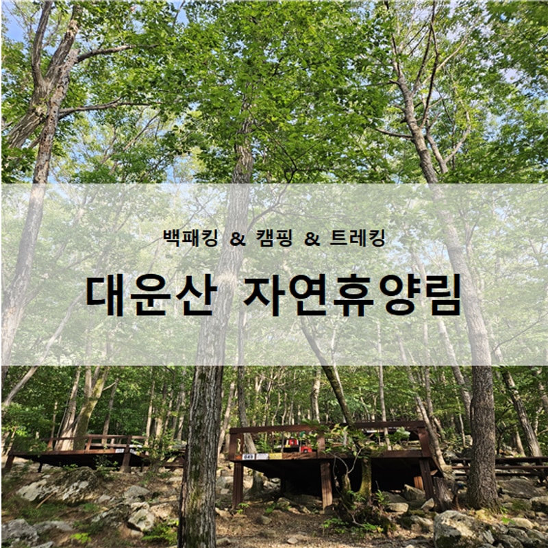 대운산 자연휴양림 야영장 (양산 여름 계곡 캠핑장 물놀이)