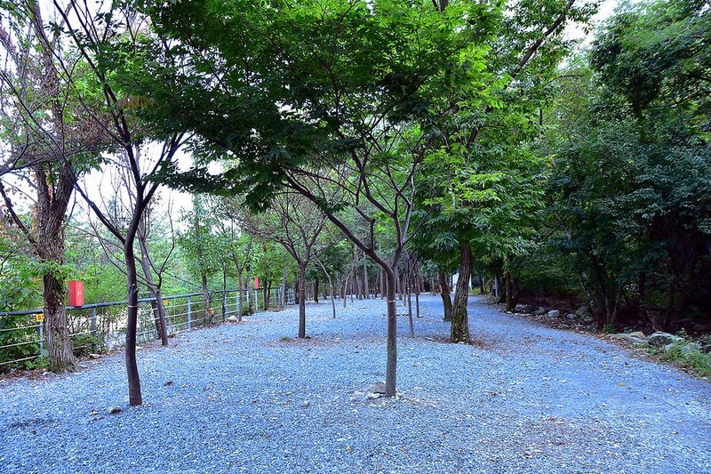 하얀숲 오토&글램핑 시설 사진 8